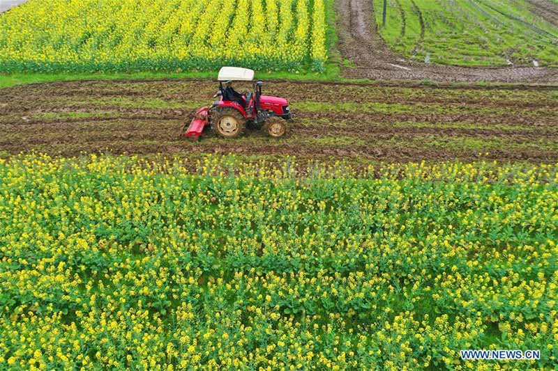 En photos?: les travaux agricoles de printemps à travers la Chine