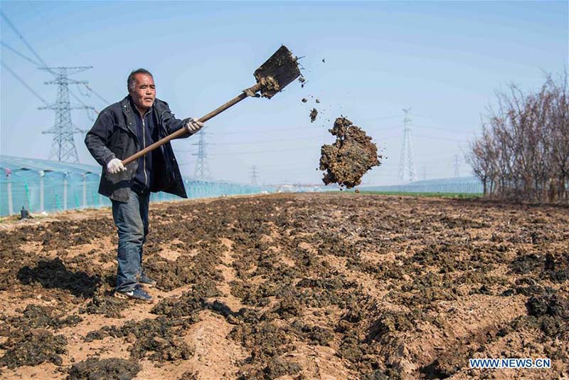 En photos?: les travaux agricoles de printemps à travers la Chine