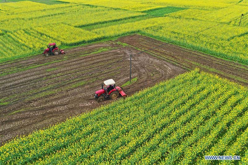 En photos?: les travaux agricoles de printemps à travers la Chine