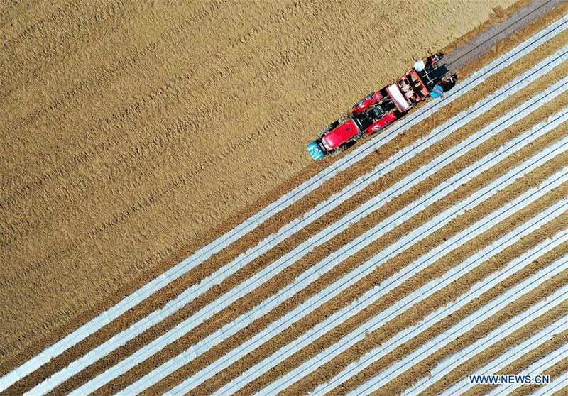 En photos?: les travaux agricoles de printemps à travers la Chine