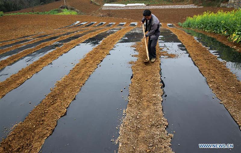 En photos?: les travaux agricoles de printemps à travers la Chine