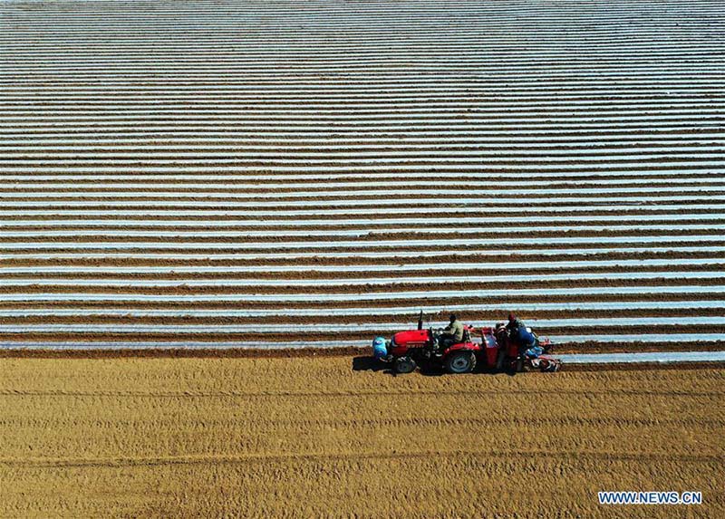 En photos?: les travaux agricoles de printemps à travers la Chine