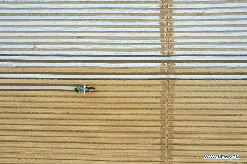 En photos?: les travaux agricoles de printemps à travers la Chine