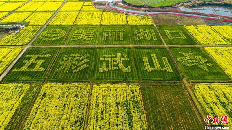 Le ? grenier du Jiangxi ? de Hukou vu du ciel