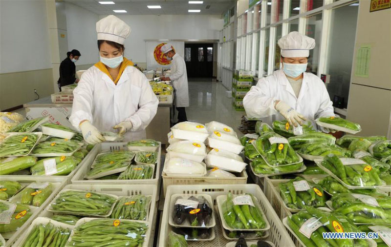 Le Hebei construit des zones agricoles modernes pour aider à augmenter les revenus des agriculteurs