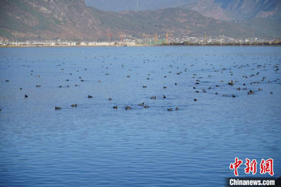 La Chine va lancer des projets de conservation de l'eau pour amortir l'impact du COVID-19 sur l'économie