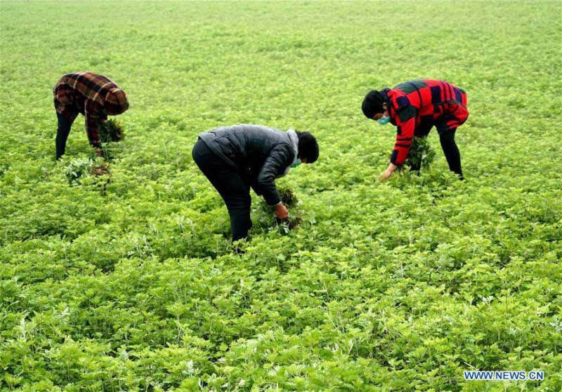 Comment les industries de lutte contre la pauvreté aident les habitants à augmenter leurs revenus