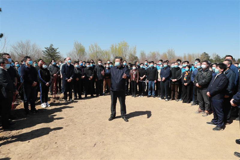 Xi Jinping participe à la plantation d'arbres à Beijing, exhortant au respect de la nature