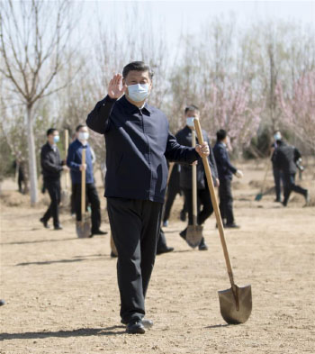 Xi Jinping participe à la plantation d'arbres à Beijing, exhortant au respect de la nature