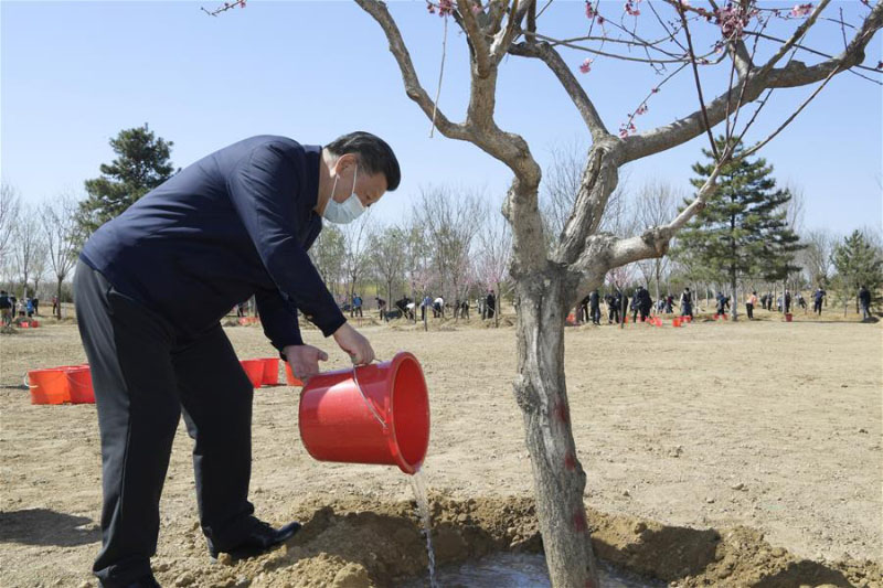 Xi Jinping participe à la plantation d'arbres à Beijing, exhortant au respect de la nature