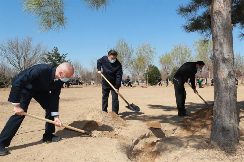 Xi Jinping participe à la plantation d'arbres à Beijing, exhortant au respect de la nature