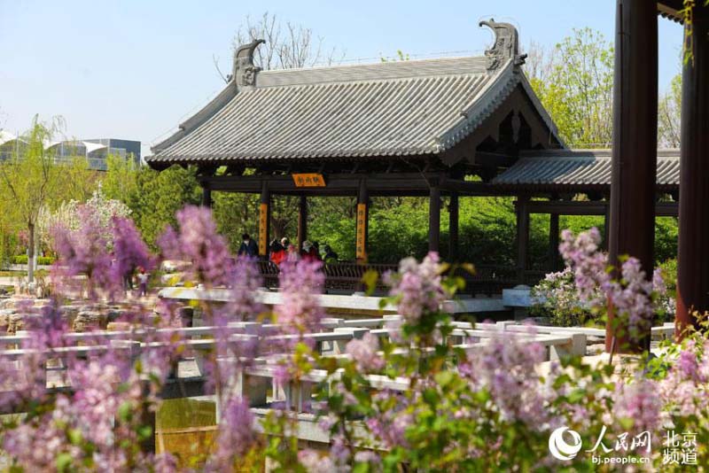 Profitez d'une Exposition mondiale d'horticulture ? éternelle ? à Beijing