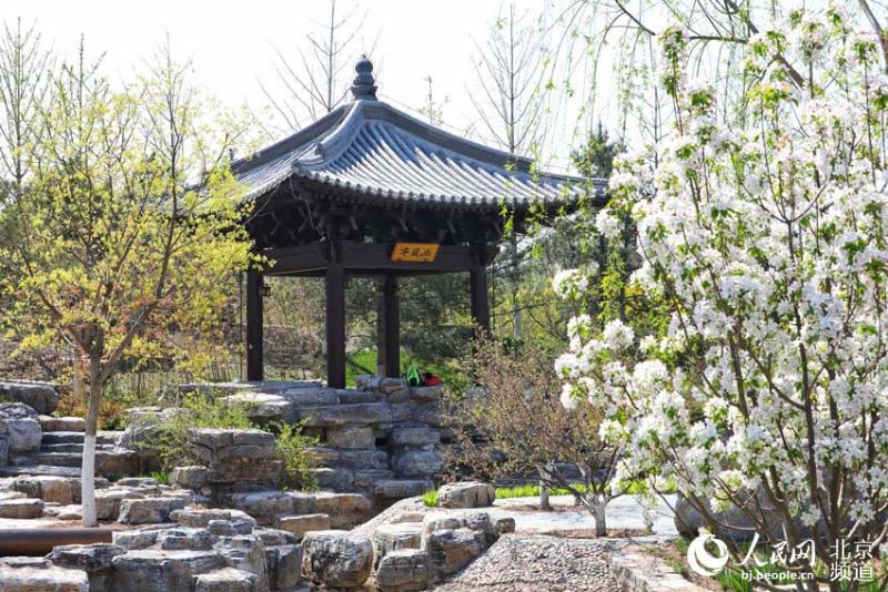 Profitez d'une Exposition mondiale d'horticulture ? éternelle ? à Beijing