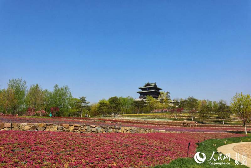 Profitez d'une Exposition mondiale d'horticulture ? éternelle ? à Beijing