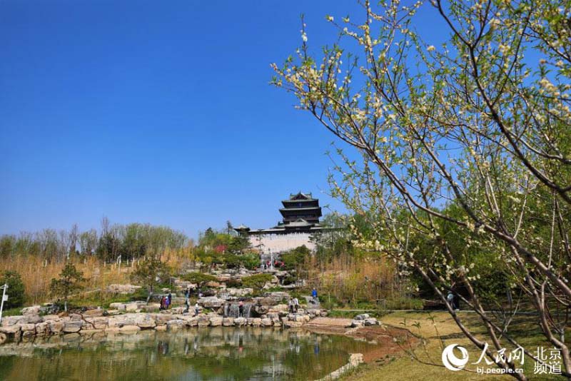 Profitez d'une Exposition mondiale d'horticulture ? éternelle ? à Beijing