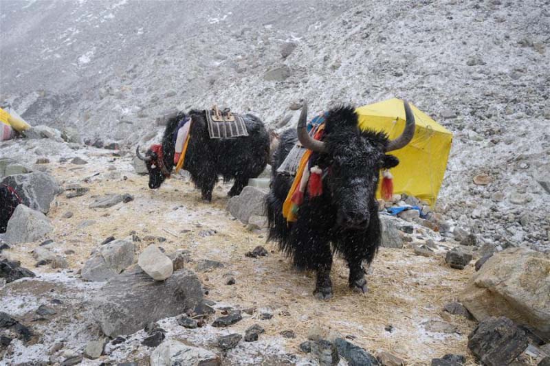 Le camp de transition du mont Everest à 5 800 mètres d'altitude