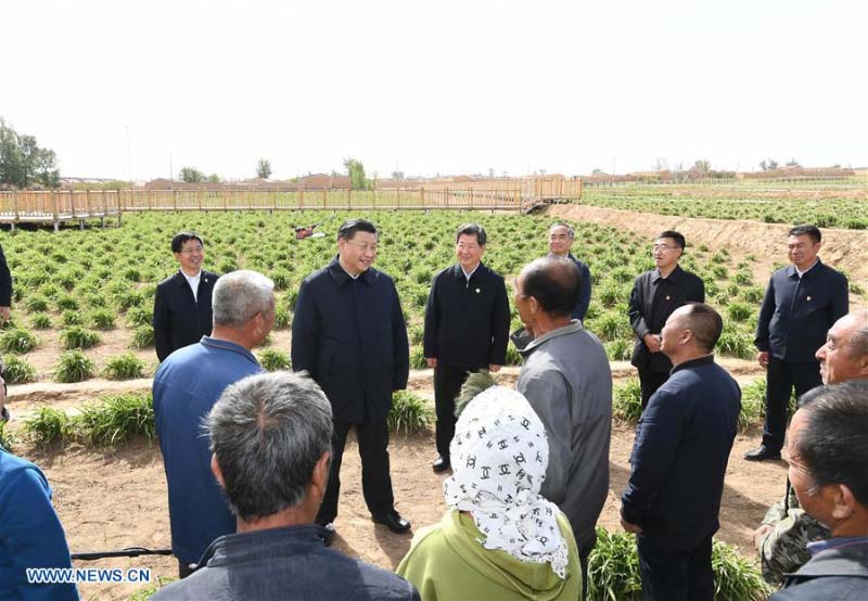 Xi Jinping souligne la culture de l'hémérocalle jaune dans la lutte contre la pauvreté