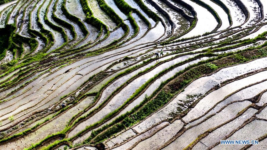 Champs en terrasses dans le nord-ouest de la Chine