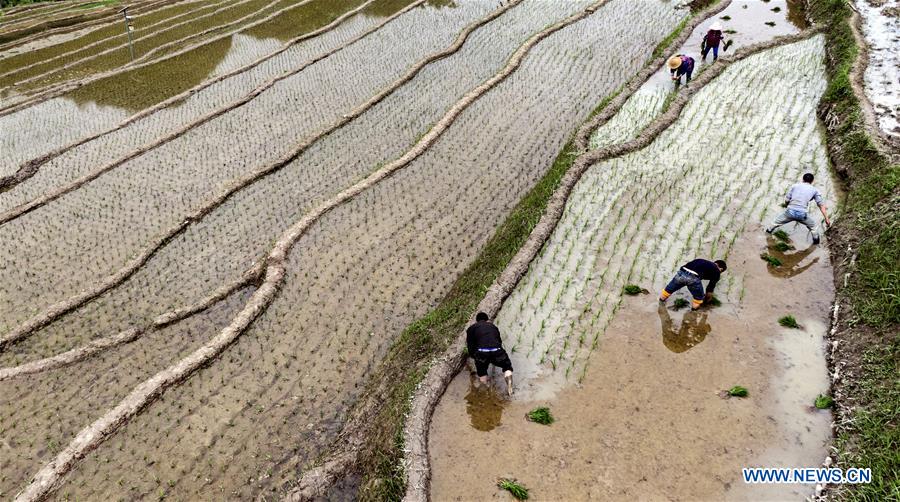 Champs en terrasses dans le nord-ouest de la Chine