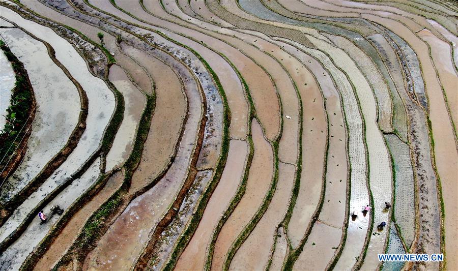 Champs en terrasses dans le nord-ouest de la Chine