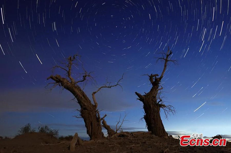 La nuit étoilée paisible dans le bassin du Tarim au Xinjiang