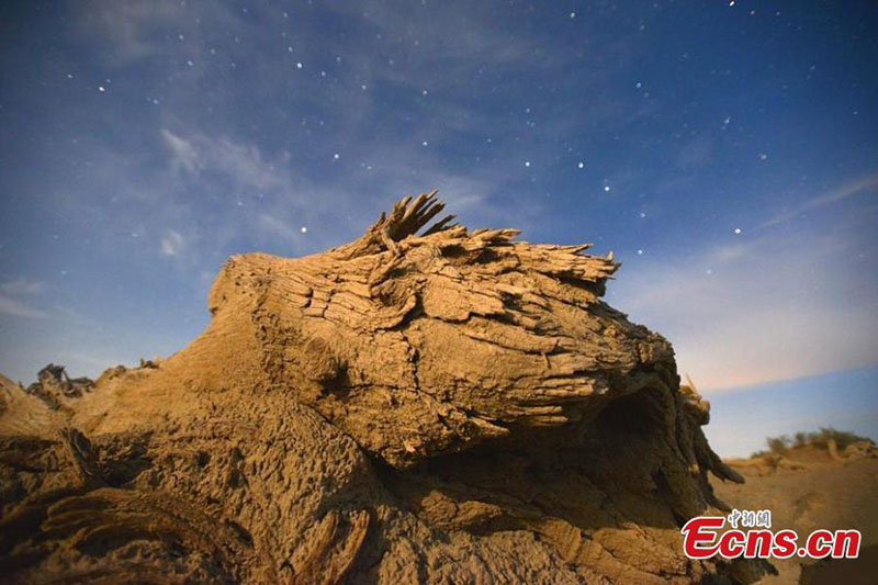 La nuit étoilée paisible dans le bassin du Tarim au Xinjiang