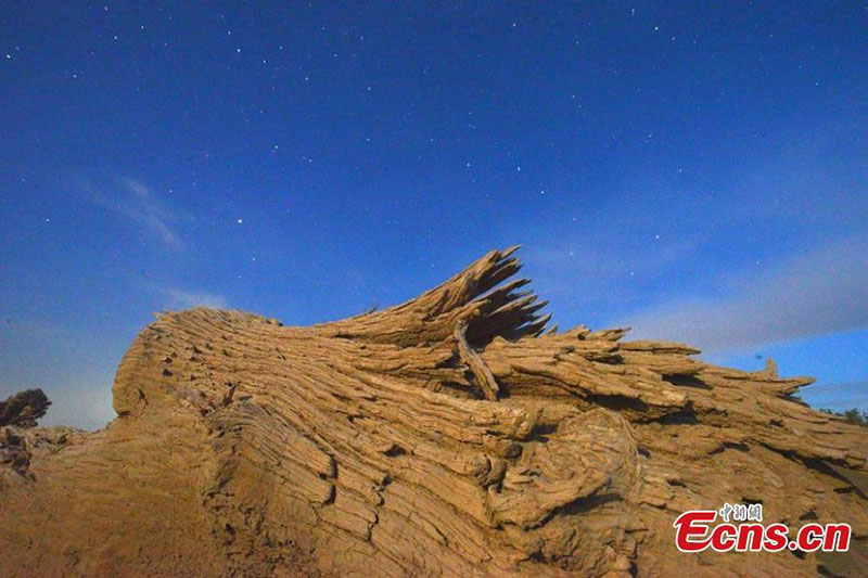 La nuit étoilée paisible dans le bassin du Tarim au Xinjiang