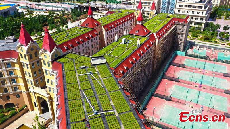 En images : des jardins sur le toit installés dans une école à Zhengzhou