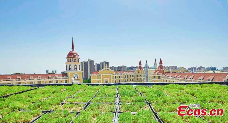 En images : des jardins sur le toit installés dans une école à Zhengzhou