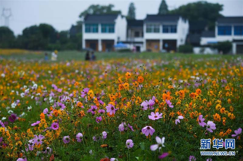 Le ? Carnaval de l'écrevisse ?, un festival agricole du début de l'été à Huzhou