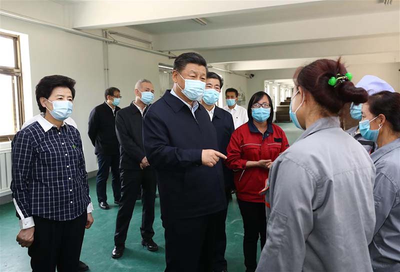 Xi Jinping inspecte le Ningxia (nord-ouest)