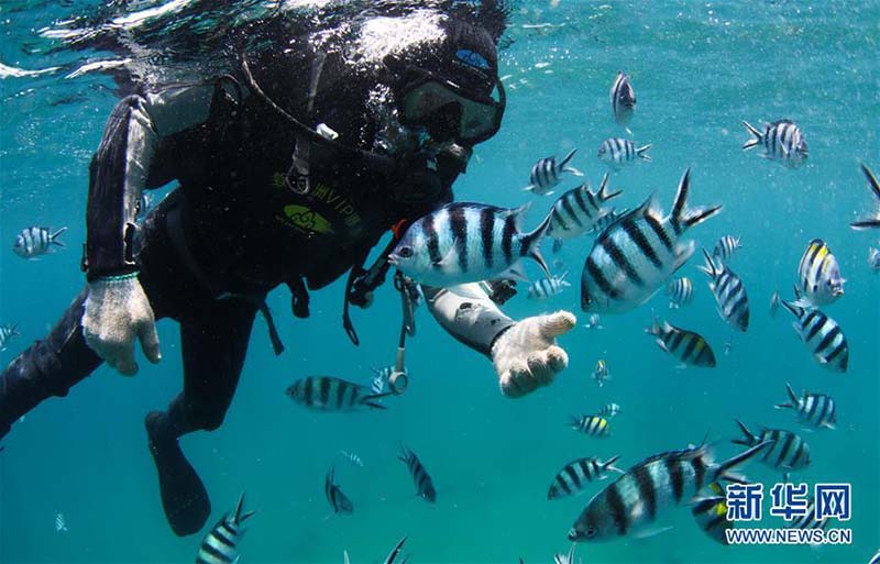 Le premier ranch de mer tropicale de Chine à Sanya