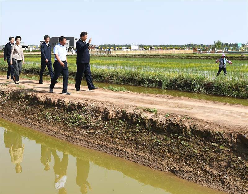 Xi Jinping en inspection à Yinchuan, dans le Ningxia (nord-ouest)