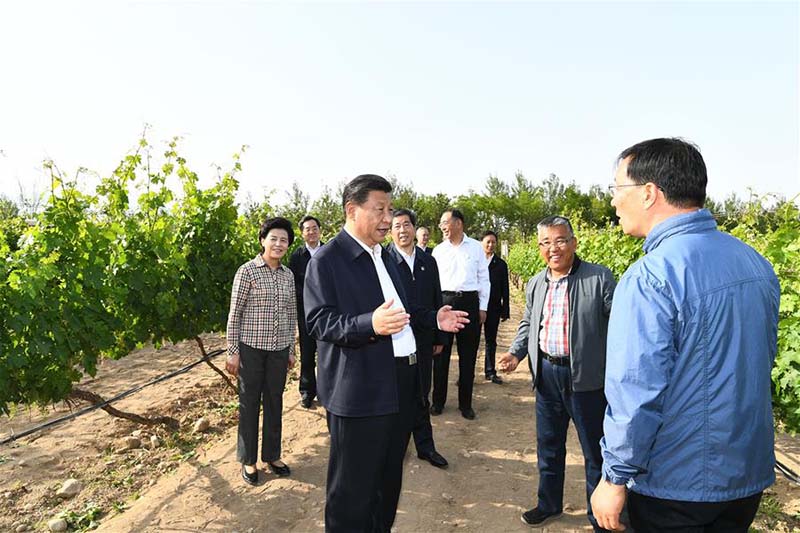 Xi Jinping en inspection à Yinchuan, dans le Ningxia (nord-ouest)