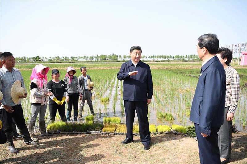 Xi Jinping met l'accent sur le développement de l'agriculture économisant l'eau