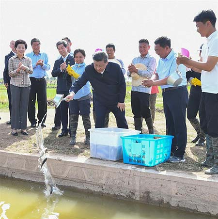 Xi Jinping met l'accent sur le développement de l'agriculture économisant l'eau