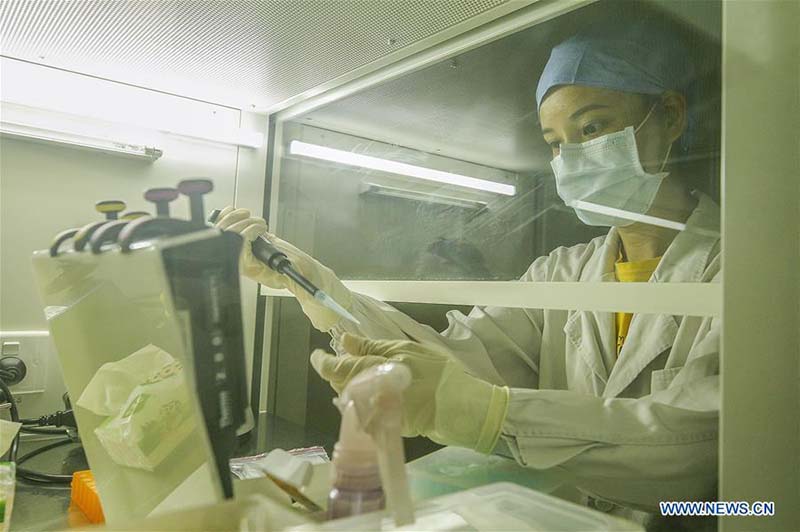 Laboratoire de PCR de l'h?pital de Beijing mis en service pour effectuer des tests d'acides nucléiques pour le COVID-19