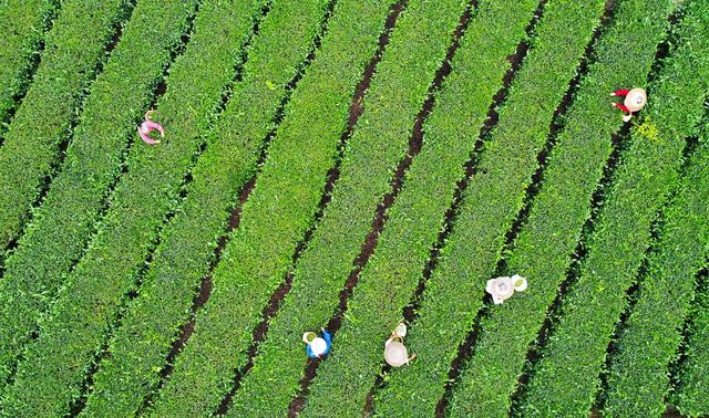 La Chine a émis un nombre record d'obligations vertes en 2019