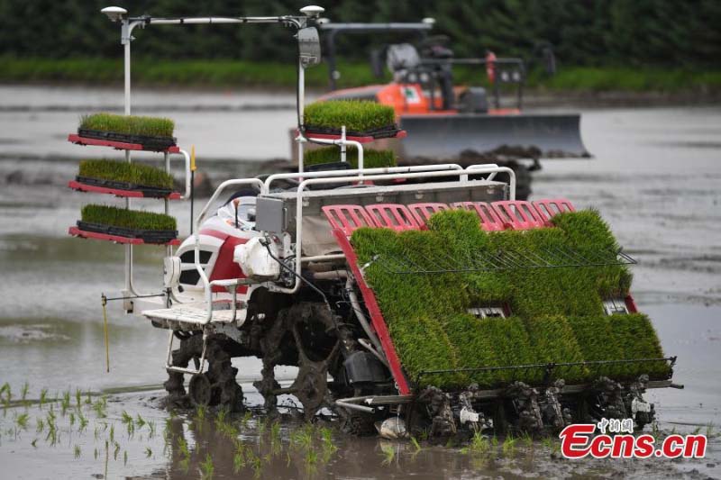 Un agriculteur adopte une technologie moderne pour améliorer la production