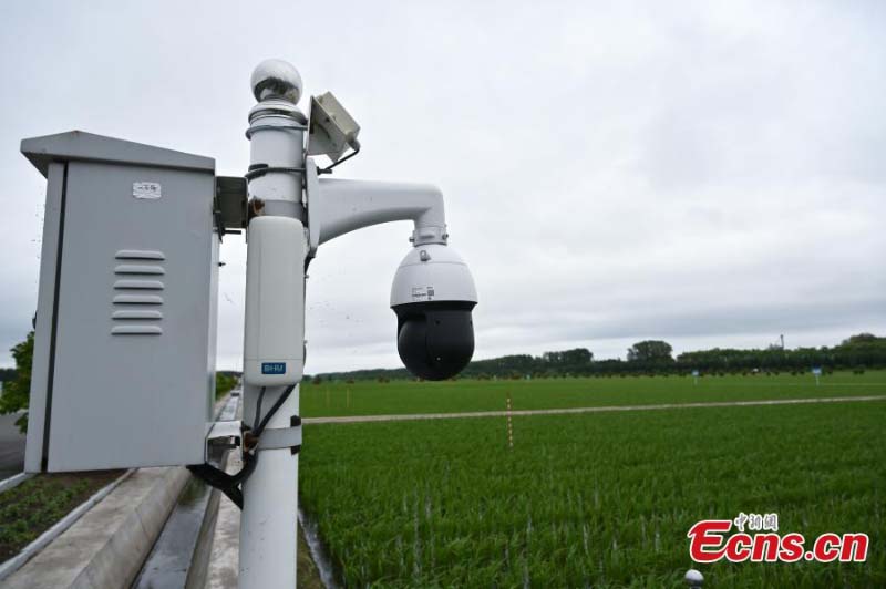 Un agriculteur adopte une technologie moderne pour améliorer la production