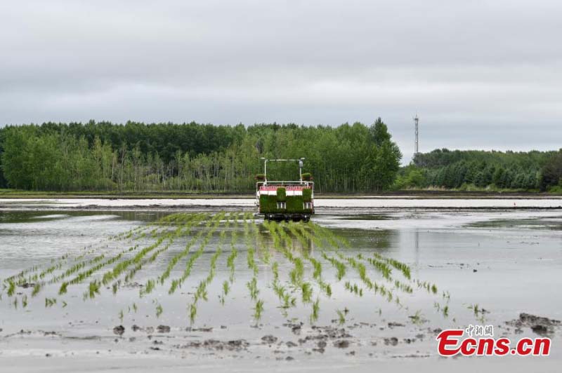 Un agriculteur adopte une technologie moderne pour améliorer la production