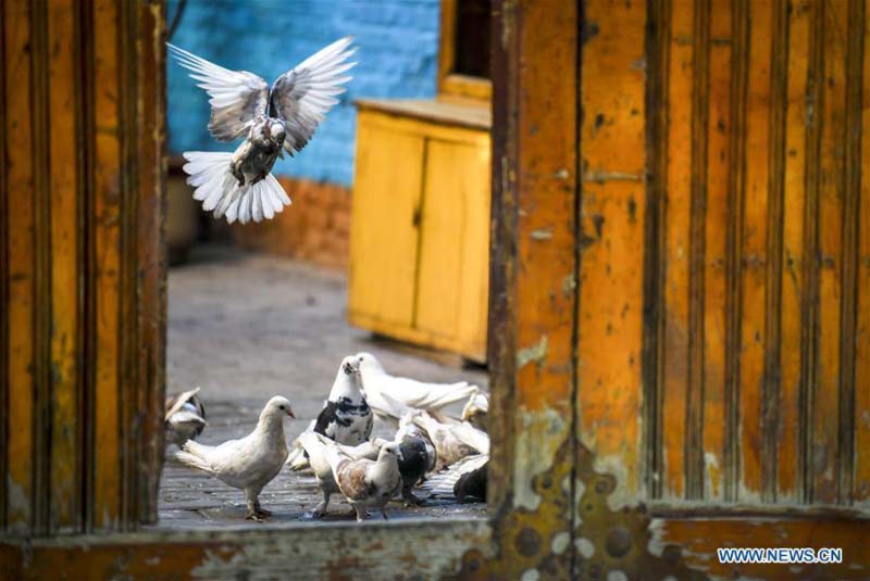 Un bloc historique attire des touristes pour développer le tourisme à Yining, Xinjiang 