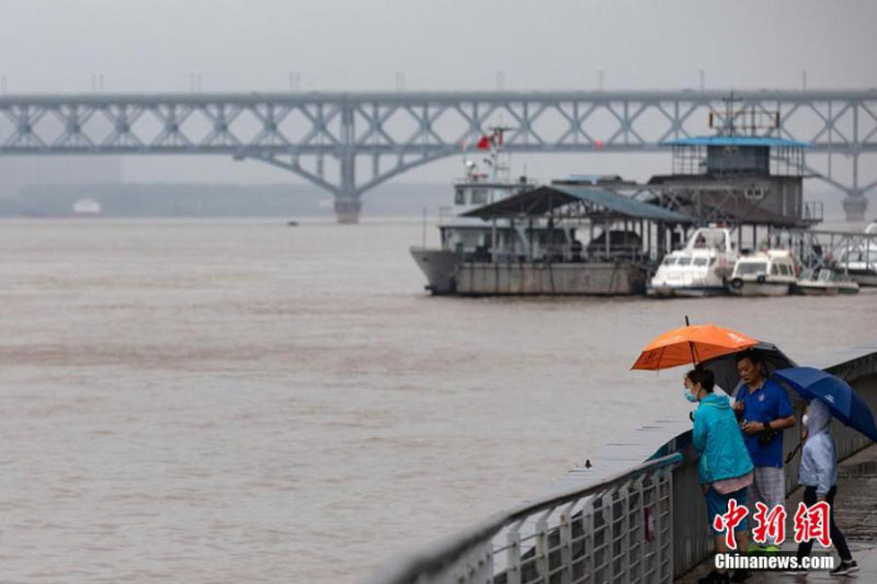 Des cavaliers font la course pour attraper des moutons dans une zone humide du Xinjiang