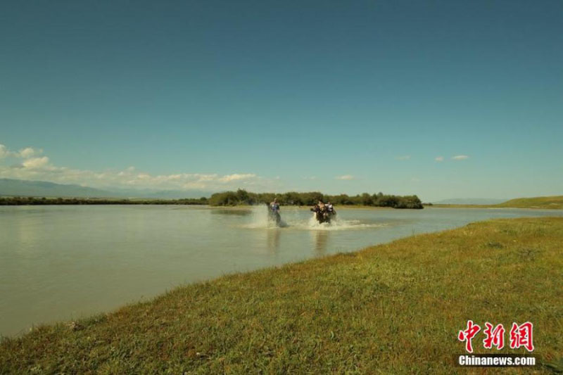 Des cavaliers font la course pour attraper des moutons dans une zone humide du Xinjiang