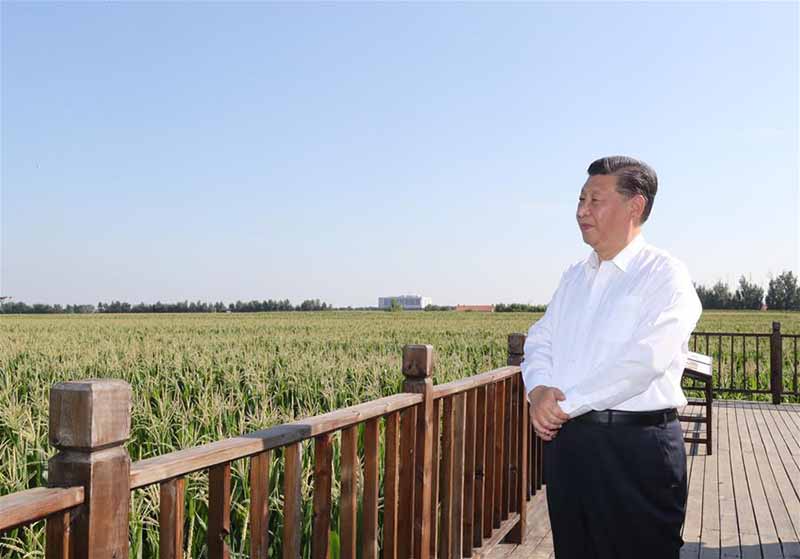 Xi Jinping inspecte la province chinoise du Jilin