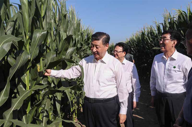 Xi Jinping inspecte la province chinoise du Jilin