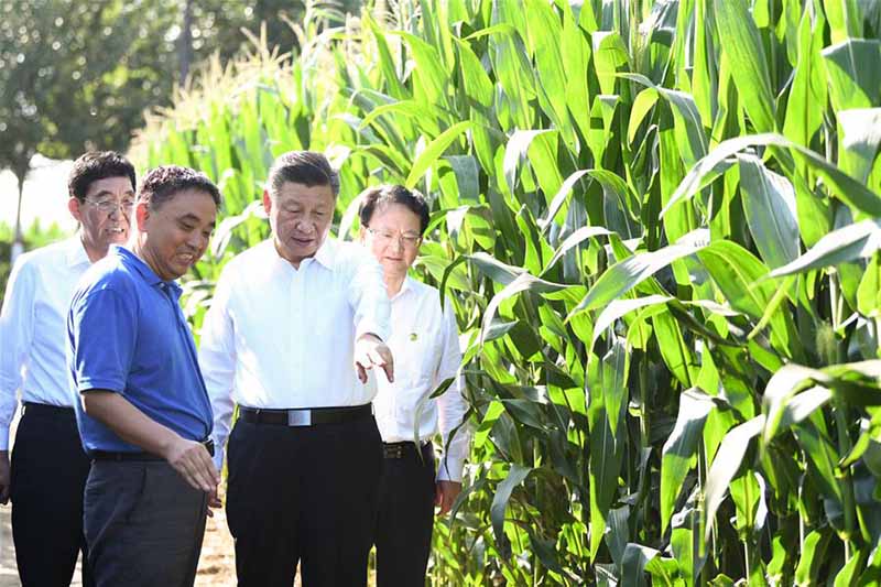 Xi Jinping inspecte la province chinoise du Jilin