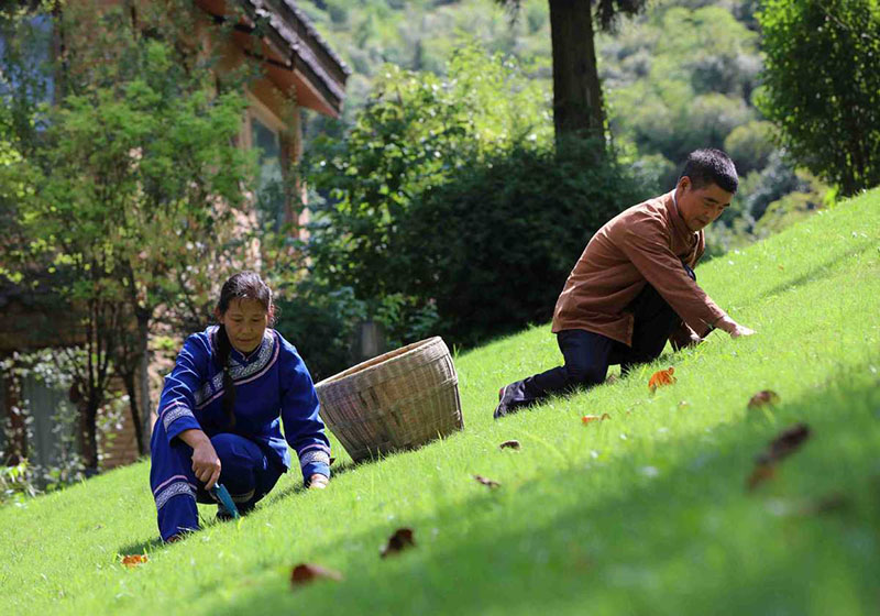 Dans le Hunan, le séjour chez l'habitant aide à stimuler l'économie locale