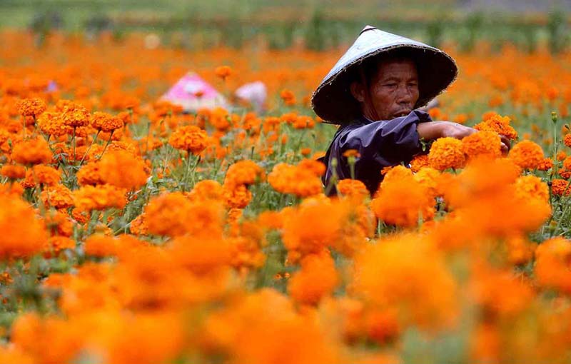 Des instantanés de la lutte de la Chine contre la pauvreté dans le Yunnan