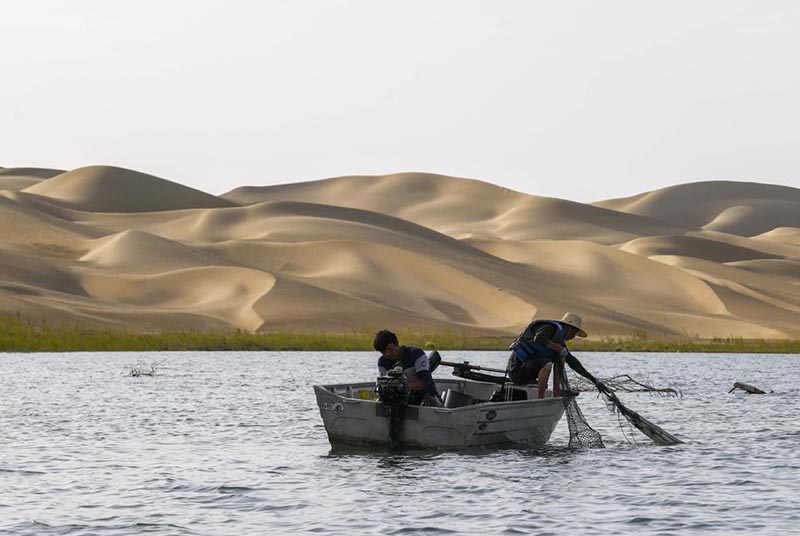 Un attrapeur de crabes habile du Xinjiang, dans le nord-ouest de la Chine